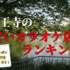 天王寺のカラオケランキング