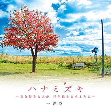 ハナミズキ