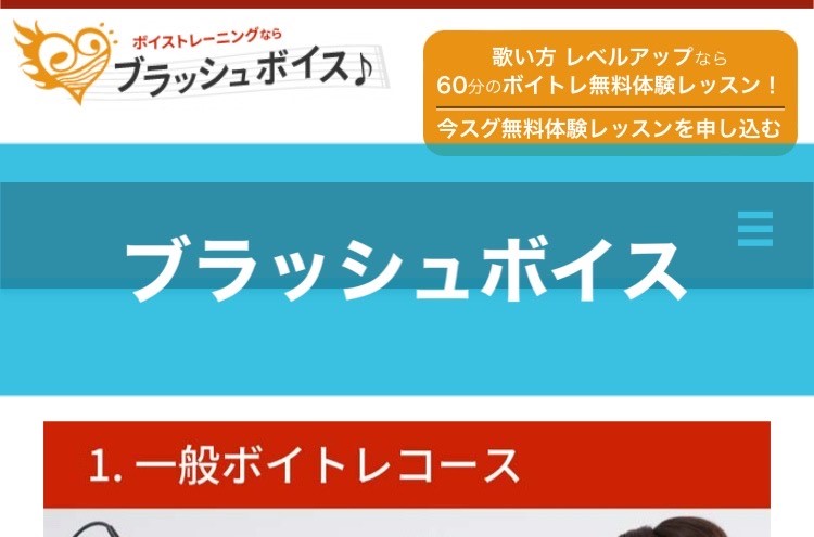 〈第3位〉御茶ノ水で1回60分の高品質レッスン！声の悩みに答えが見つかる親身なボイトレ教室【ブラッシュボイス】