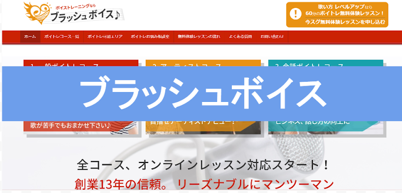 〈第2位〉60分の無料体験レッスンで勝どきで自分にぴったりのボイトレトレーナーに出会えると評判の教室【ブラッシュボイス】